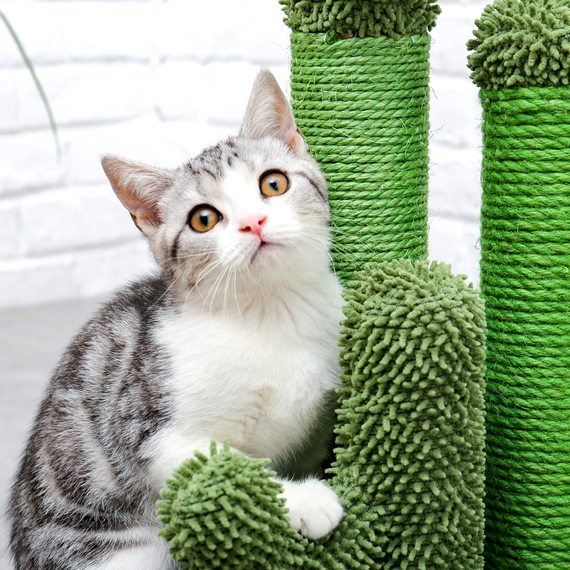 23" Cactus Cat Scratching Posts Medium Sisal Cat Scratcher,Green